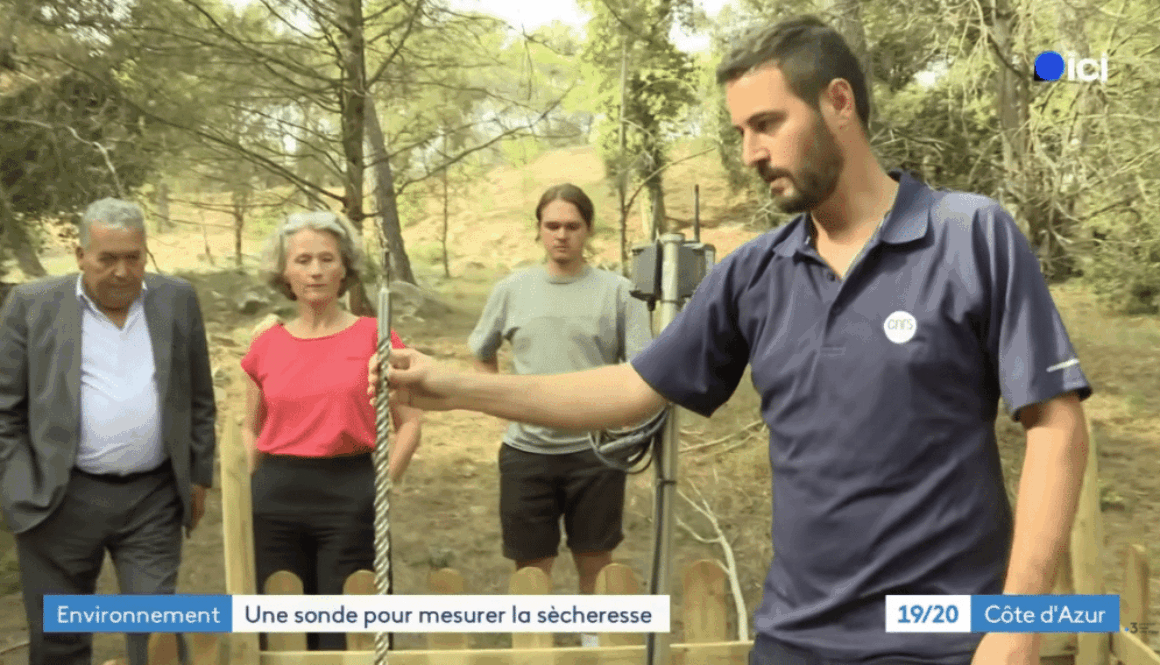 Maurin Vidal présente une sonde de mesure de l’humidité des sols sur un site boisé, devant trois personnes. Capture du reportage de France 3 Côte d’Azur intitulé « Une sonde pour mesurer la sécheresse ».